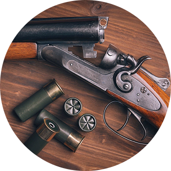 Bear Arms LLC